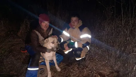 Во Владимирской области спасатели достали собаку из заброшенного колодца