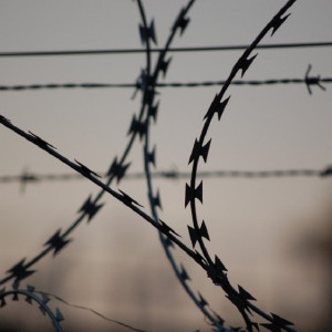 Во Владимире начальника колонии уволили из-за драки между осужденными