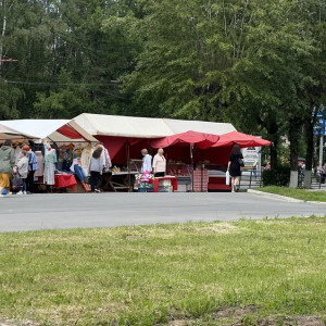 Во Владимире оштрафовали троих уличных торговцев овощами и фруктами