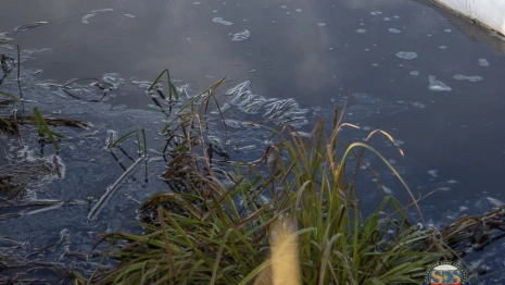 В Клязьме близ Владимира обнаружили нефтяные пятна