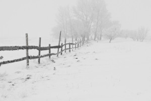 Прогноз погоды во Владимирской области на 27 февраля 