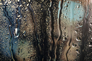 Во Владимире самыми дождливыми днями оказались 2 и 4 июня