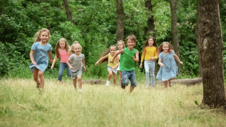 Владимирцам рассказали о новой форме справки для детского лагеря