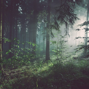 Владимирцев позвали на поиски 40-летней женщины с синим рюкзаком