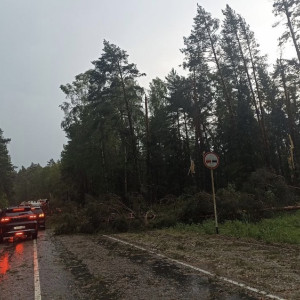 Около 20 рухнувших деревьев перекрыли трассу во Владимирской области