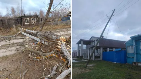  Во Владимирской области назвали оставшиеся без света из-за урагана поселки и деревни