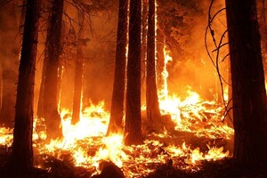 МЧС нанесло пожары во Владимирской области на интерактивную карту