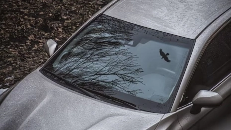 Жителя Владимира будут судить за порчу иномарки бывшей возлюбленной