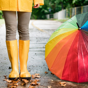 Циклон принесет затяжные дожди во Владимир