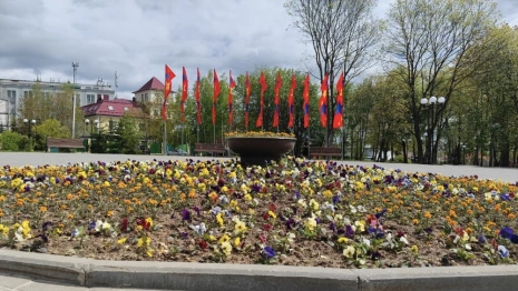 Во Владимирской области начали приводить в порядок могилы солдат