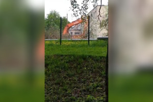 Во Владимире вырубили яблоневый сад ради можжевельника и туи