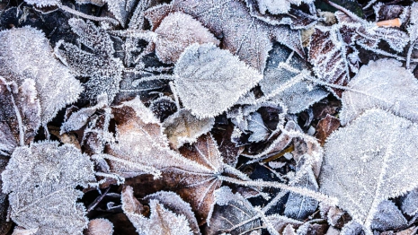 Прогноз погоды во Владимирской области на 17 ноября 2023 года