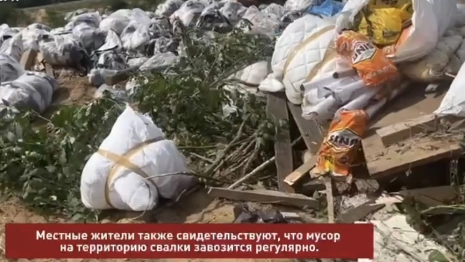 Во Владимирской области нашли стихийную свалку, которую видно из космоса