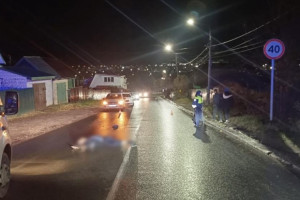 Водителя ГАЗели из Кольчугино будут судить за смертельную аварию с пешеходом