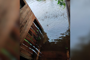 «Воды по колено». В Судогде из-за ливня затопило дом многодетной семьи