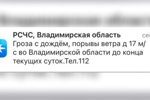 МЧС предупредило жителей Владимирской области о ливне с грозой и урагане 2 июля