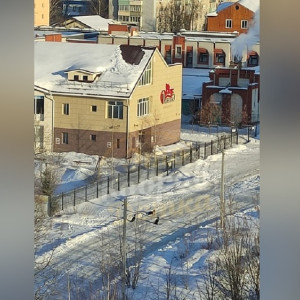 Жители Коврова рассказали о бросающихся на людей и машины собаках