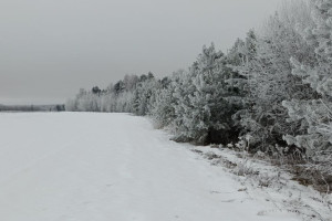 Прогноз погоды во Владимирской области на 17 февраля 2025 года