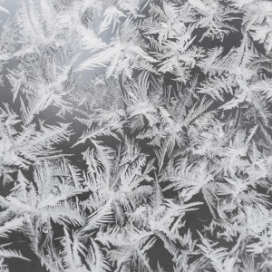 Прогноз погоды во Владимирской области на 17 ноября