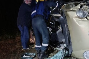 На М-7 во Владимирской области перевернулась легковушка с двумя собаками и котенком