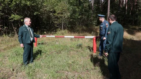 Во Владимирской области ввели систему контрольно-пропускных пунктов на въезде в леса