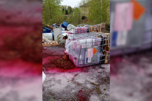 Во Владимире обнаружили свалку опасных химикатов