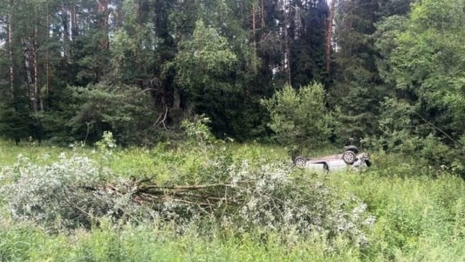 В Александровском районе водитель погиб после столкновения с деревом