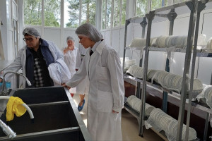 Во Владимирской области у 39 поставщиков питания в детские лагеря нашли нарушения