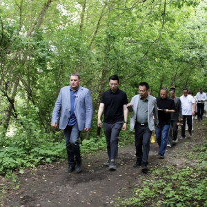 Еще одна фирма из Китая захотела заняться благоустройством парка у ДТЮ во Владимире