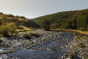 Владимирский губернатор поделился планами по расчистке 12 рек