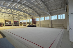 Во Владимире избившая 8-летнюю девочку тренер по гимнастике избежала ареста