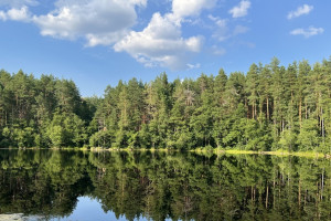 В Александрове и Муроме откроются всесезонные курорты