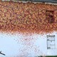Дом с «осенним» граффити во Владимире решили снести