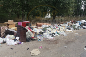 Жители Коврова создали стихийную свалку мусора и сами же пожаловались на нее