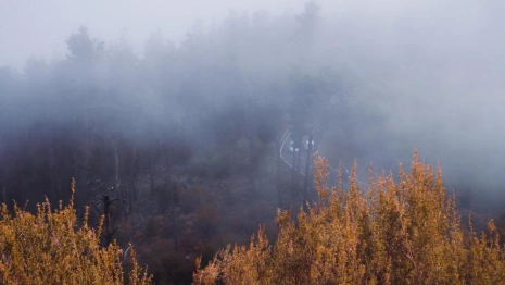 Прогноз погоды во Владимире и области на 16 октября 2025 года