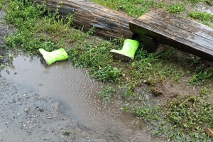 Прогноз погоды во Владимире и области на 19 июля
