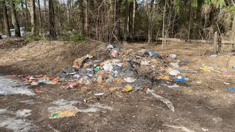 Во Владимирской области прокуроры нашли свалку из останков животных