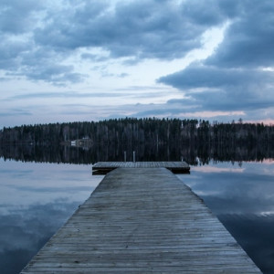 Пропавшего пять месяцев назад жителя Владимирской области нашли мертвым