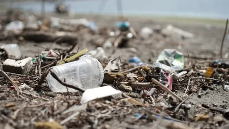 Во Владимирской области у железной дороги выросла гора мусора