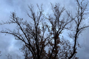 На короткой рабочей неделе во Владимирскую область нагрянут грозы