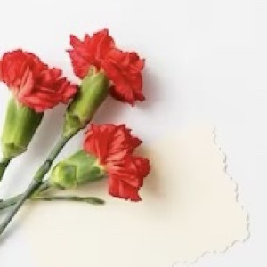 На кладбище у Владимирского централа возложили цветы в честь Неизвестного солдата