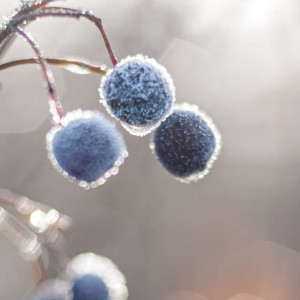 Во Владимирской области температура опустится ниже нуля