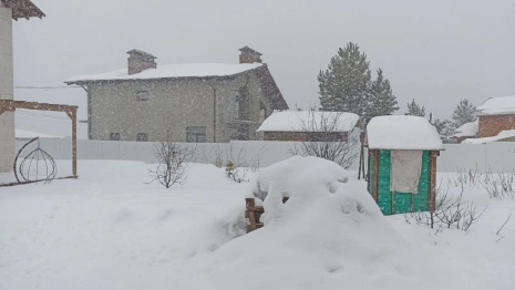 Метель накрыла Владимирскую область