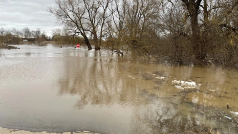 Во Владимирской области от воды освободились 5 дворов и 1 дорога