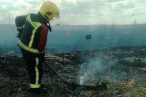 Во Владимире подожгли траву у итальянского завода Marcegaglia