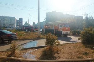 Пожарные спасли сотни рыб во владимирском магазине  