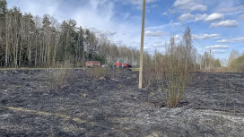 В Камешковском районе пожар уничтожил 400 квадратов сухой травы