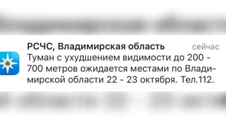 МЧС предупредило жителей Владимирской области о тумане и ухудшении видимости