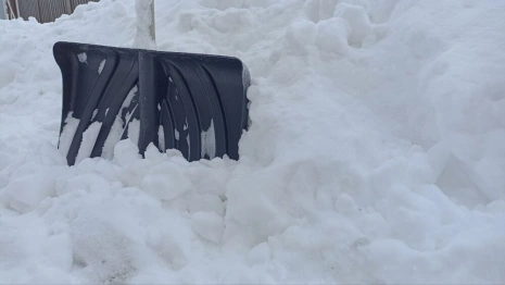 Во Владимире после снегопадов ощутили дефицит дворников
