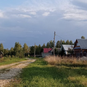 История с выдачей участка на бездорожье семье из Меленок дошла до Бастрыкина